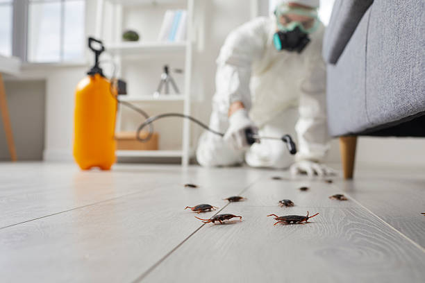 Trusted Fumigation Services service in Haliimaile, HI - Nex Pest Control